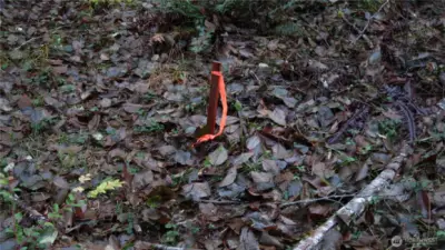 This could be the property line