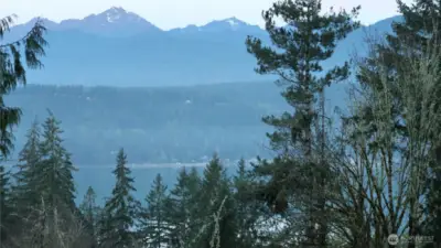 All property owners' dose has access to the saltwater.