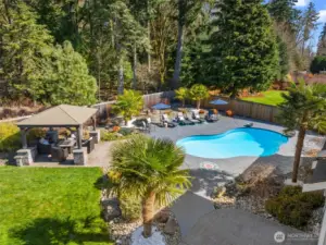 Imported palm trees and mature landscaping