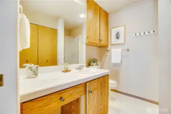 Owner's private bathroom