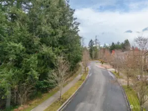 Road view along Bell Hill Pl