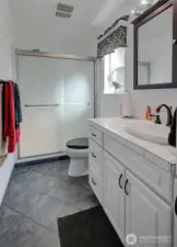 Bathroom Lower Level