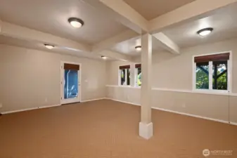 Huge finished lower level with its own entry or accessed from the main. Great space for anything you need ~ office, guest suite, media or play room. There is a separate furnace to control heat for whenever its in use.