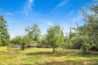 Fruit trees