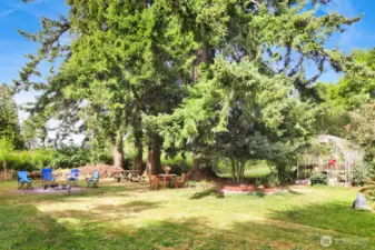 Your own private campsite!