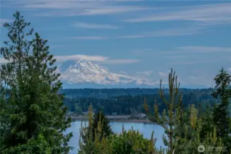 Mt. Rainier