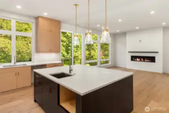 Sprawling chefs kitchen open to great room