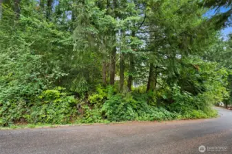 View from Road.