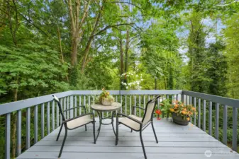 Enjoy the relaxing sounds of a (seasonal) stream from your deck.