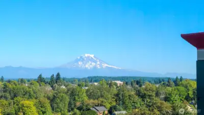Stunning views of the Mountain