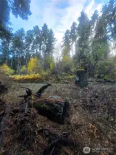 great property ready for your dream