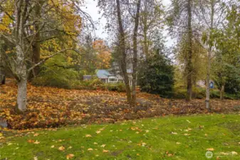pictured here is a small creek that runs thru and area that could also be used as a small pasture or garden