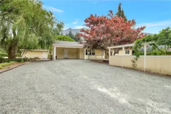 Front entry to the house! carport with ample parking and a oversized weeping willow tree.