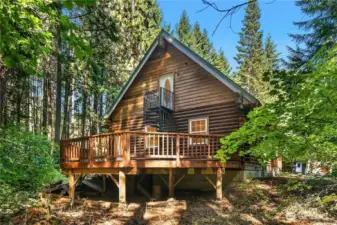 This is the back of the home showing large, entertaining sized deck and beautiful iron staircase leading to upper level