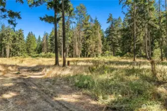 All this gorgeous property is level and usable. Very private, tons of room to roam or build your DREAM HOME!