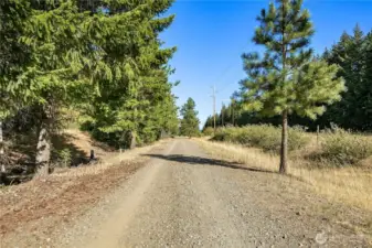 This is a photo of the Palouse to Cascades Trail State Park (formerly John Wayne Trail). Perfect for getting out and taking a hike, run, bike ride or horseback ride. You could ride all the way to Idaho if you wanted on this trail!