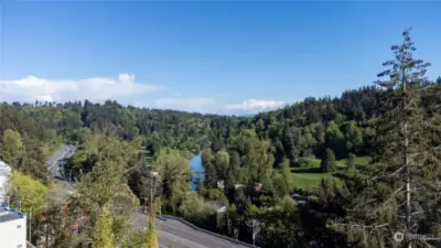 Excellent view of Sammamish River