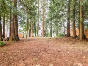 Huge 1/2-acre, flat and usable lot.  Add an ADU or single wide with RV hookup