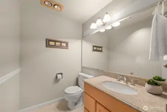 Bathroom if wallpaper was painted