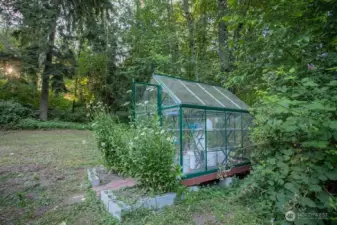 Garden area with Green House