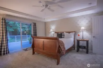 Master Bedroom/slider opening to deck