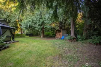 Back yard with lots of wood for your fireplace