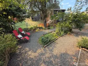 Verdant and abundant backyard