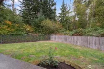 Great space with privacy and lots of space