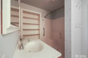 Primary bath with shower