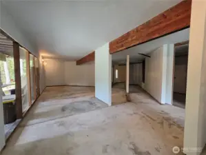 Basement/Lower Level