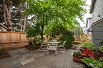 Back patio has great privacy