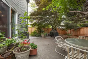 Sunny raised garden bed is around the corner on the side of the house