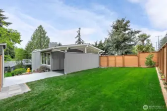 Front Yard
