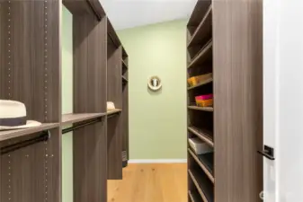Walk-in closet to accommodate casual and formal wear!