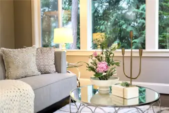 Living Room with window