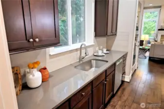 Kitchen Sink
