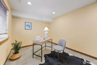 Downstairs Bedroom + Media/Bonus Room