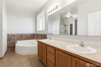 Primary 5-piece Bathroom