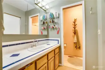 The primary's bathroom area features plenty of under-sink storage and a pocket door that separates the shower and toilet for added privacy.
