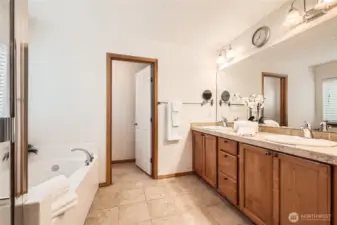 The Primary Suite's bathroom.