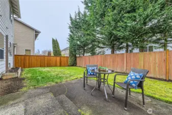 Patio area in the fully fenced back yard.