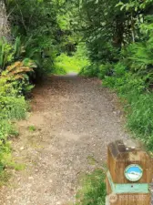 Trailhead (with removeable bollard)