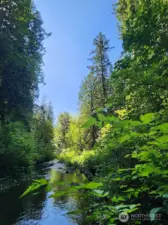 Year 'round creek