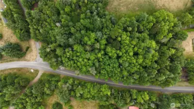 Birds Eye View