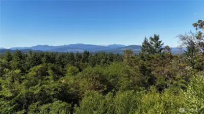 Above the trees facing Olympics