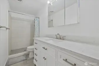 Updated Primary Bath