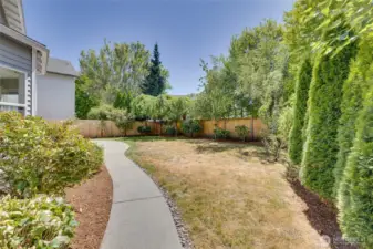 Side yard with fruit tree and shed