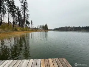 Looking NE along the shore of Horseshoe Lake from the floating dock.