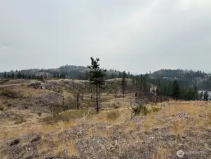 From near the SW corner of the upper parcel, looking SW across Albrecht Lake. The driveway runs along the ridge to the left in the picture.