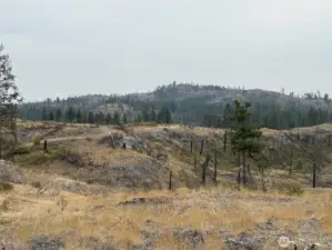 Looking South across the property at Cave Mountain.